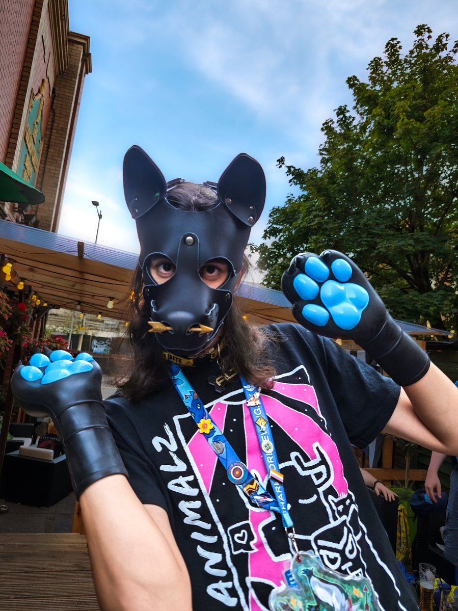 altfvr's tweet photo. PAWS!! https://t.co/vScw3XE6gD