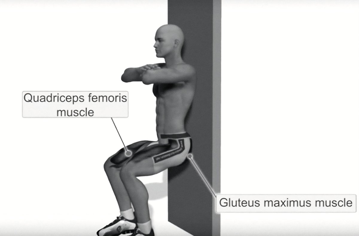 fitigenie's tweet photo. Exercise is essential for supporting physical, mental, and emotional health.

Push-ups, planks, burpees, and wall sits can help you achieve full-body fitness.

(Plus, each exercise provides a massage for your trillions of cells.) https://t.co/oMjdUstETQ