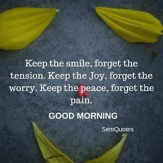 daseybabu's tweet photo. Have a lovely safe day every one. https://t.co/j2UsPtv40C