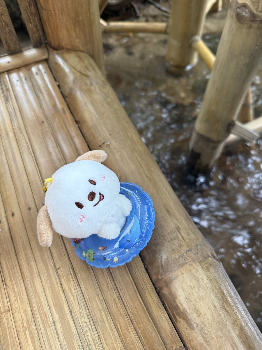 choccobinnie's tweet photo. หมูน้ำ..🐷💨 https://t.co/UlVEG1jKBh