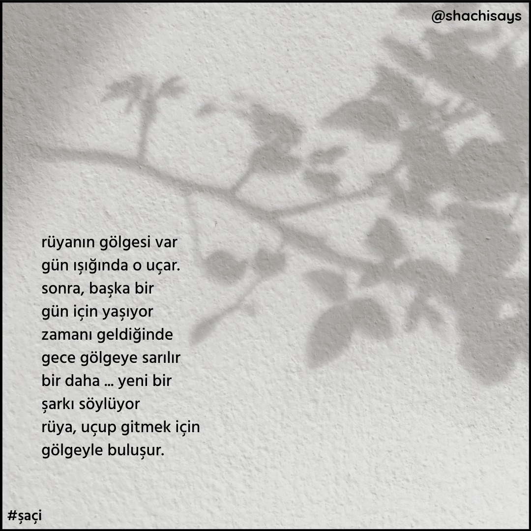 shachisays's tweet photo. altıncım❤️ https://t.co/uZnhNxqIV7