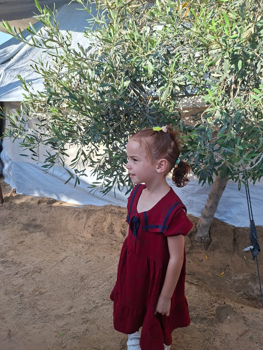 Hanaa_aljbour's tweet photo. A sad morning for the  Two day with no donations. 😭💔
Please, my heart aches, why is everyone leaving me? 💔💔💔💔💔
Please Don't leave us alone , share it, donate 🙏🏻🙏🏻🙏🏻
https://t.co/sXMYs3EIF0 https://t.co/E9iMmyhtkl