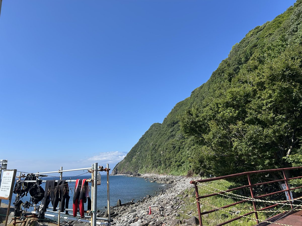 gorigorwanpati's tweet photo. 1泊2日伊豆の旅　思ひ出（1日目〜昼）

本当は三宅島予定だったけど台風の影響で伊豆に変更。さかながたくさん泳いでいたよ
イルカは居ないが海の透明度が高く楽しめたのは良かった😆

昼飯タコライスはボリュームの第一印象が凄いし、泊まる部屋に露天風呂があるのヤバい。

ツリーに続くかもしれない https://t.co/WWCcfGEMDD