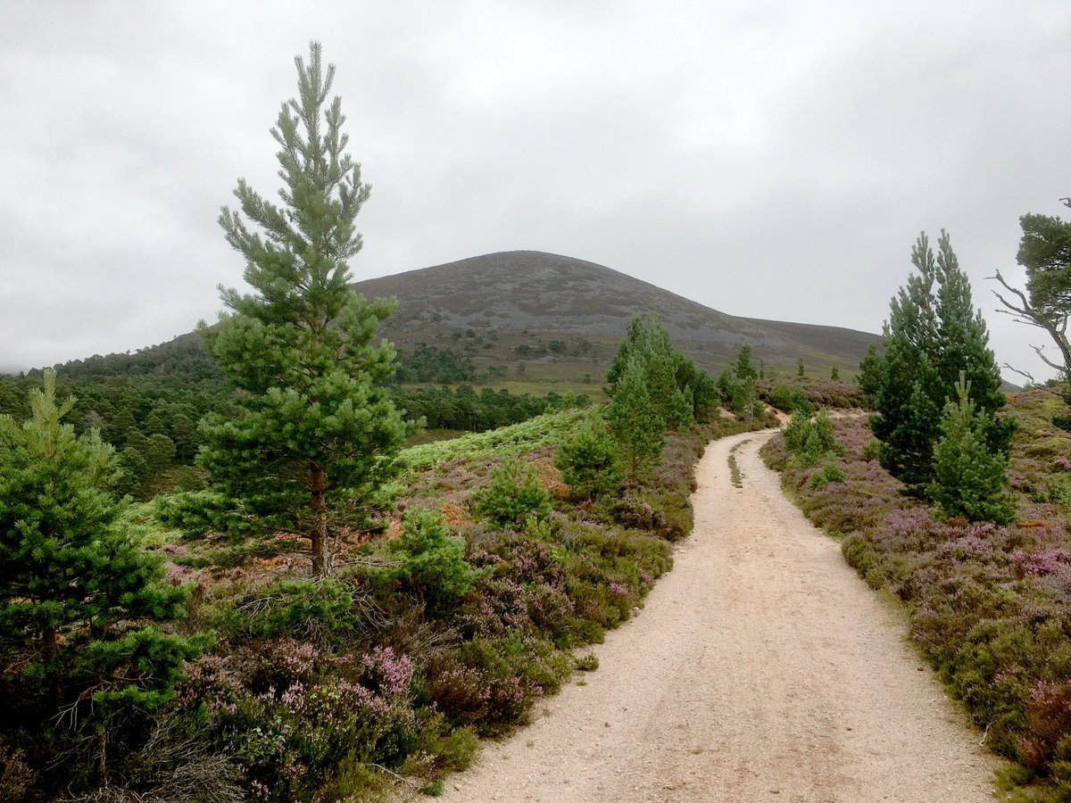 rheenergise's tweet photo. What makes an ideal HD Hydro® site? A hill, grid access, road access, and nearby energy demand. The opportunity is huge: we've already identified 6,500+ potential sites in the UK #EnergyTransition #LDES #HDHydro #RenewableEnergy https://t.co/oyadEa1vsN