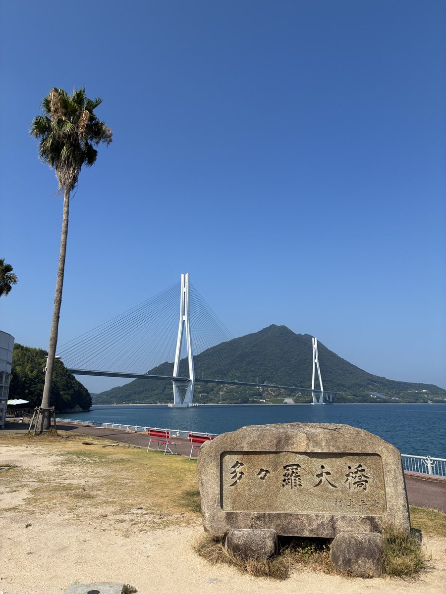 twinkle_mam's tweet photo. 愛媛満喫 https://t.co/ZMc5o1kJoW