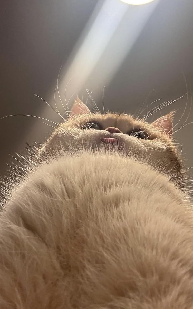 twaniimals's tweet photo. https://t.co/z75Z5ABC9Y