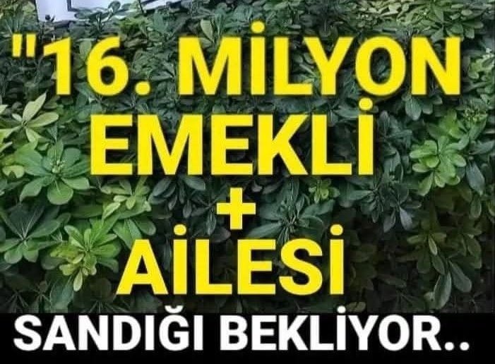zrKfh's tweet photo. Emekli insanca yaşam istiyor 

#5000KısmiSabrınSınırında
#EmekliMaaşıölümSınırında

@isikhanvedat bennu gerede fatma soydaş Adalet bakanı Akın Gürlek TEK DEVLET https://t.co/IfUqsyPq1N