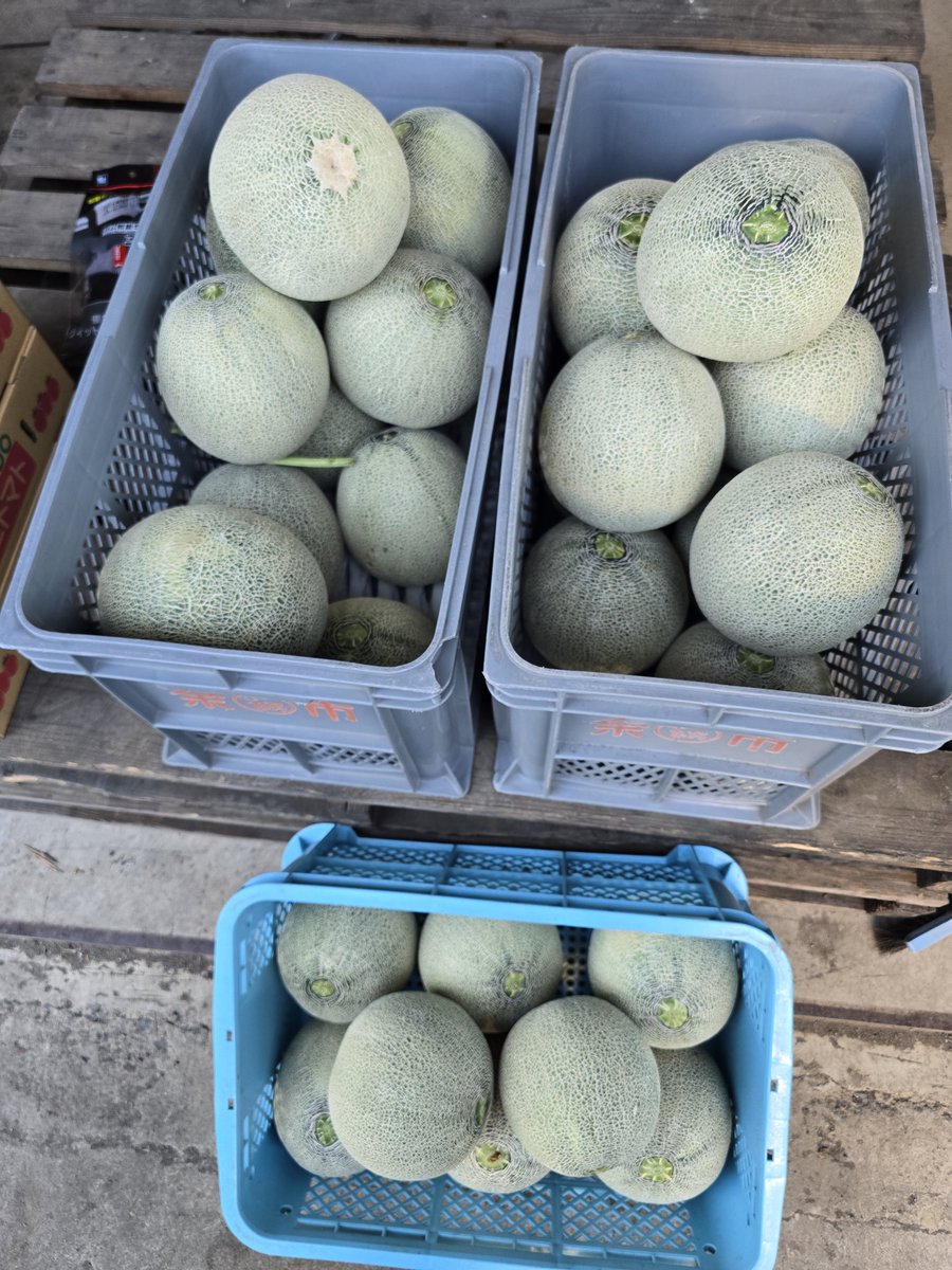 tomato_yoichi's tweet photo. おいおい
メロン農家の物々交換はバグってんのか？www https://t.co/FRAS4sQjBe