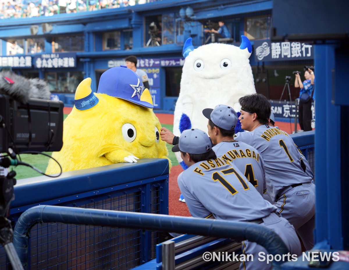NikkanNaruohama's tweet photo. 小さくてかわいいチャピーと触れ合い🙂‍↕️
大人気です✨️
森下翔太選手はずっと絡んでいました。他球団マスコットとの交流はよく観察していると楽しいですよね🥳
#阪神タイガース https://t.co/eqZZazTJDJ