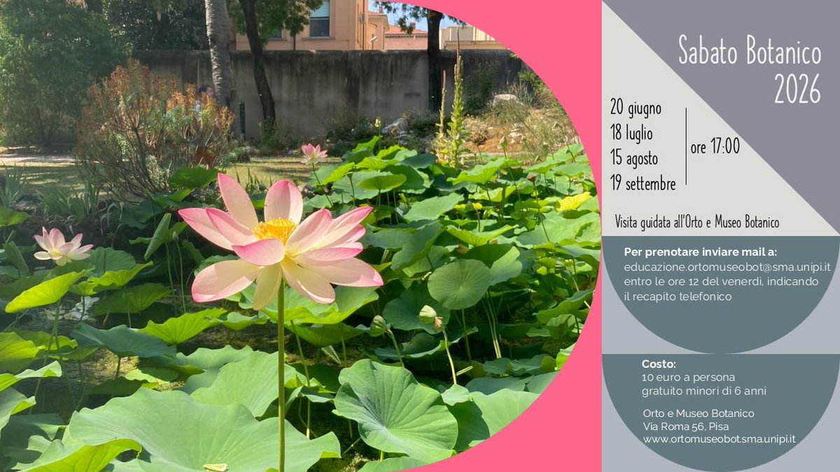 SMA_Unipi's tweet photo. 🏖️Ferragosto con 🌳🌴il Sabato Botanico all'Orto e Museo Botanico dell'Università di Pisa.
🗓️15 agosto 2026, ore 17
https://t.co/NsBLd0PRe6

@Unipisa @Dip_Bio_Unipi @PisaTurismo @TerrediPisa @PisaToday @PisaNews @qn_lanazione @IlTirrenoPisa https://t.co/sIu7NSAUeI