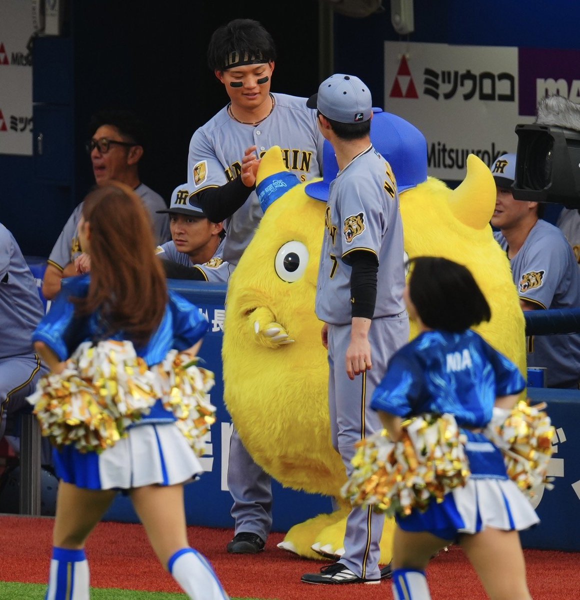 NikkanNaruohama's tweet photo. 小さくてかわいいチャピーと触れ合い🙂‍↕️
大人気です✨️
森下翔太選手はずっと絡んでいました。他球団マスコットとの交流はよく観察していると楽しいですよね🥳
#阪神タイガース https://t.co/eqZZazTJDJ