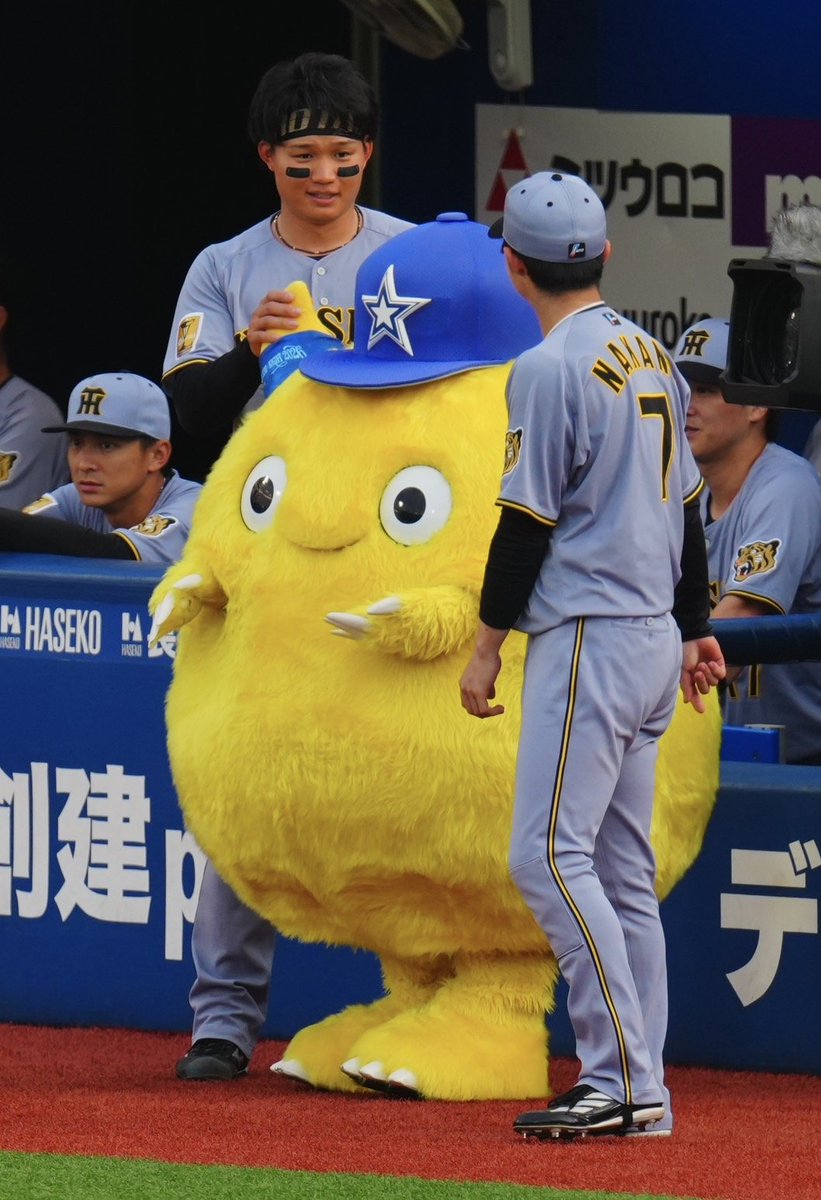 NikkanNaruohama's tweet photo. 小さくてかわいいチャピーと触れ合い🙂‍↕️
大人気です✨️
森下翔太選手はずっと絡んでいました。他球団マスコットとの交流はよく観察していると楽しいですよね🥳
#阪神タイガース https://t.co/eqZZazTJDJ