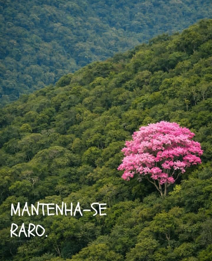 soudesabafosofc's tweet photo. https://t.co/qgabYum9rR