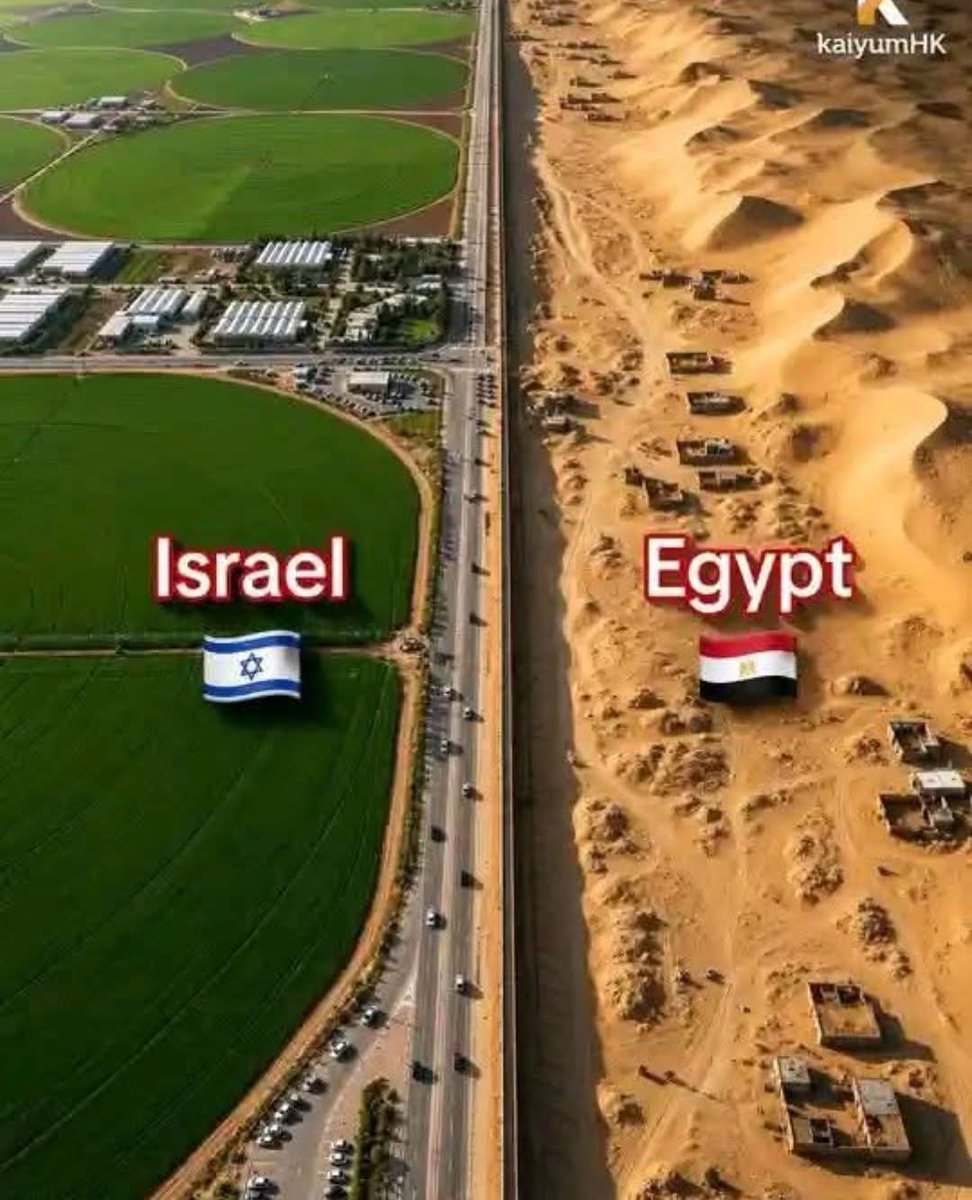 FastestDeath's tweet photo. @Politiciz @SallyMayweather They are ALL like this. ALL Anti-Israel people are actively trying to undermine civilization. Islamism and Judaism are moral opposites. https://t.co/sWq0S3Uv1A