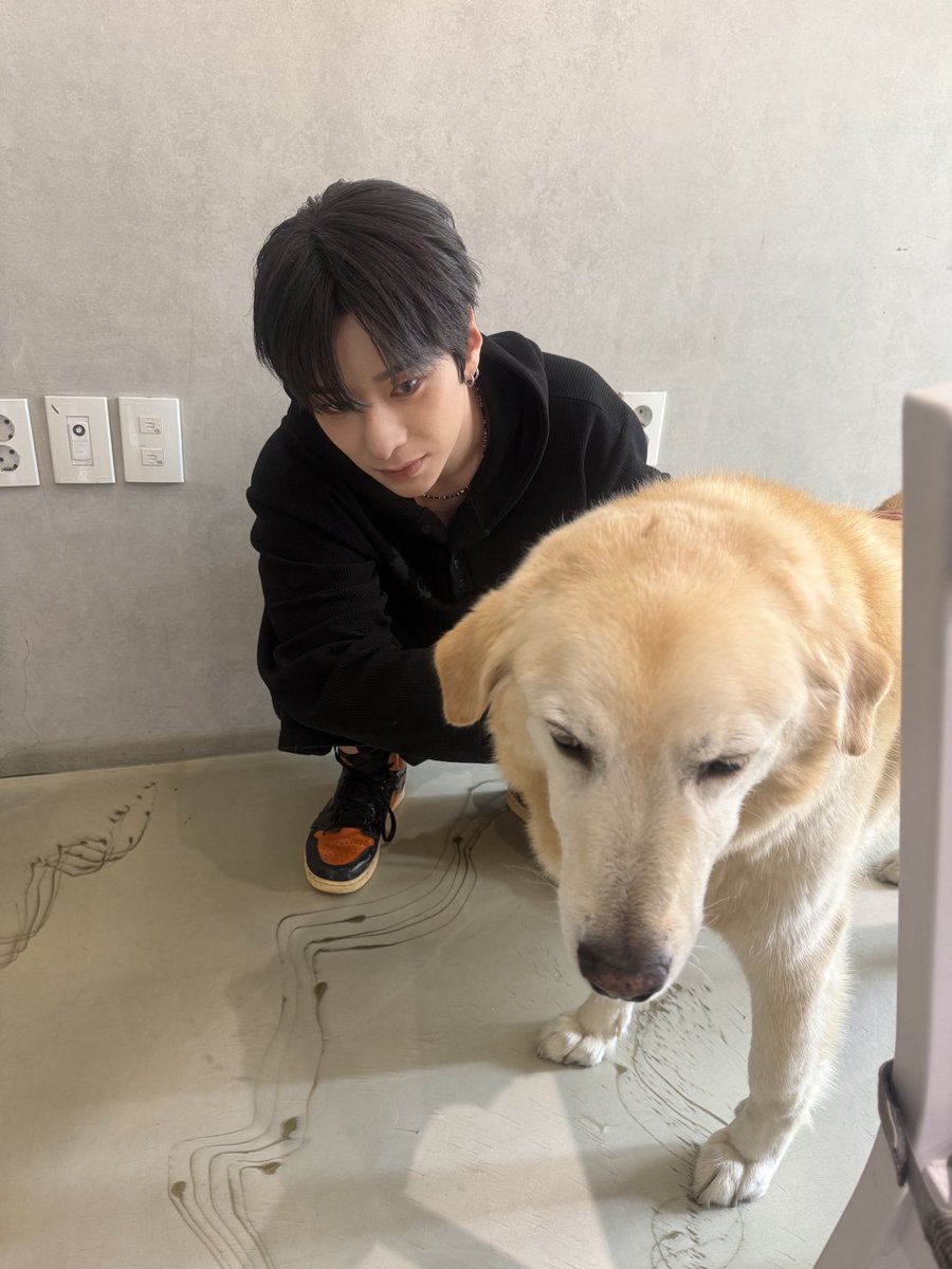 nchiveofficial's tweet photo. [#강산]

날씨가 너무 더워요
🙈🔥🙉

🇰🇷 🇫🇷 🇧🇪 🇬🇧 🇩🇪 🇹🇳 🇦🇿 🇰🇭 🇹🇼 🇯🇵
#NCV  #NCHIVE  #엔카이브 
#KANGSAN https://t.co/JthBj5vxZW