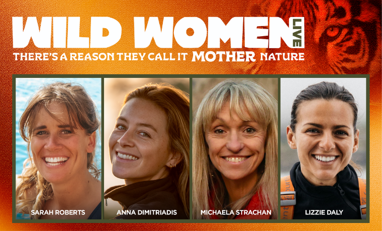 demontforthall's tweet photo. 📢 NEW SHOW: Wild Women Live – Sun 4 Apr 27, 3pm

Join the extraordinary women behind the world’s greatest wildlife documentaries 🐅🎥

Members Thu 6 Aug
On sale 10am Fri 7 Aug
https://t.co/elW2MFsnDO https://t.co/bthNrDZPrC