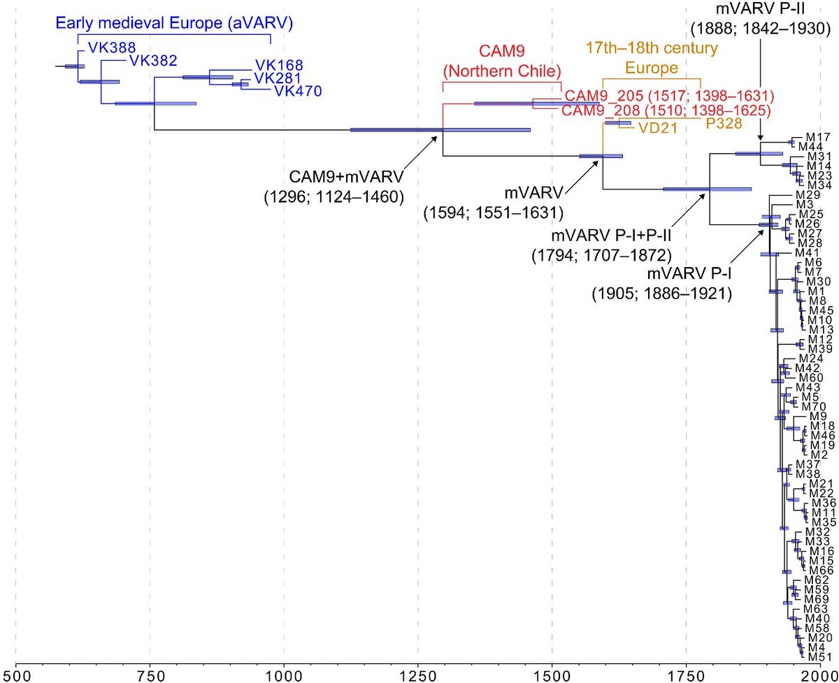 unclePlutarch's tweet photo. Σύμφωνα με πρόσφατη δημοσίευση στο Science, μια νέα ανάλυση του DNA από μούμιες της βόρειας Χιλής, αποκάλυψε το παλαιότερο γνωστό στέλεχος αρχαίας ευλογιάς, από το ~1290 μ.Χ.!
Περισσότερα εδώ: https://t.co/dTTzVBOwVI https://t.co/wQWRmiGP8t
