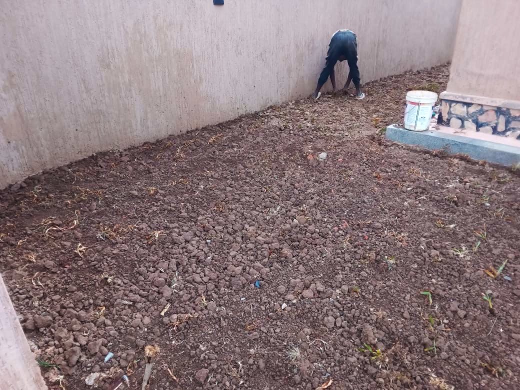 BotaniqueDng's tweet photo. The โbonesโ of this new garden are officially taking shape! ๐ง
Getting the concrete edging set, prepping the soil, and laying down the first grass sprigs.
Trust the process. Canโt wait to show you the final green space.
#LandscapeDesign #GardenMakeover #BotaniqueDesigners #LandscapingLife