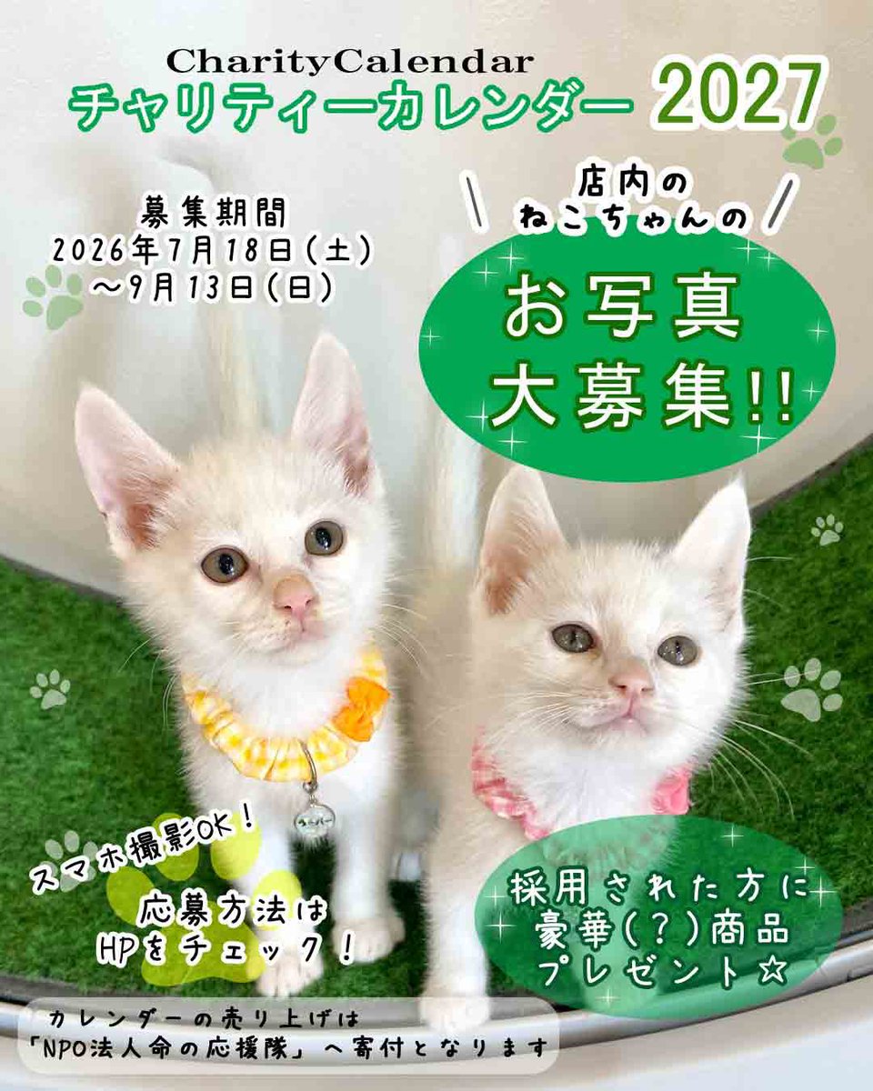 NewJourney_914's tweet photo. まもなくお盆休みですね

当店は8/4（火）から8/16（日）まで

休まず営業させていただきます

可愛い猫達と触れ合いに来ませんか？

お時間ございましたら是非遊びにいらしてください

ご来店お待ちしております https://t.co/KlIJwcPgmA