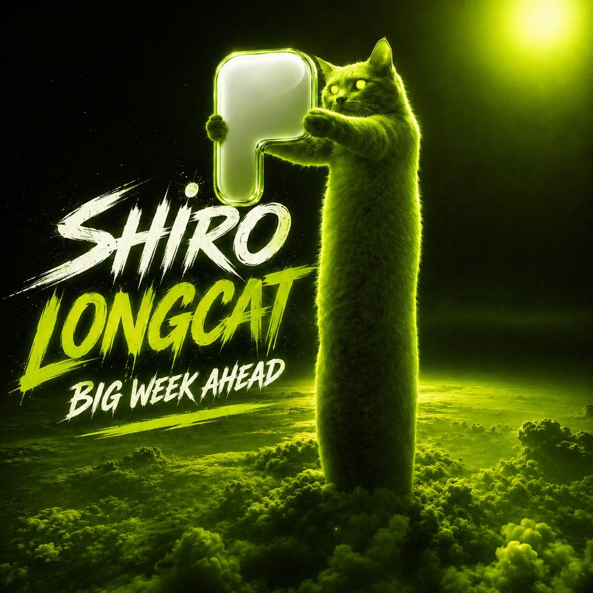 shiro_rhc's tweet photo. Shiro $Longcat @pon https://t.co/1vMuX9zzX6