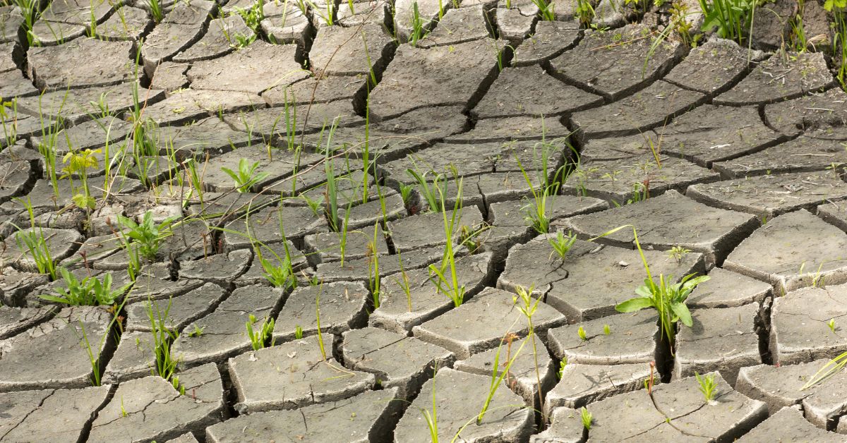 AgEInves's tweet photo. 🌾 La #investigación nos ayuda a anticiparnos a los efectos de las #sequías.

Conoce el proyecto de la @Universidad de Cantabria que desarrolla un gemelo digital para mejorar la gestión de los recursos hídricos.

🔗 https://t.co/C87OIXBgfc https://t.co/w4P1JYp4j8
