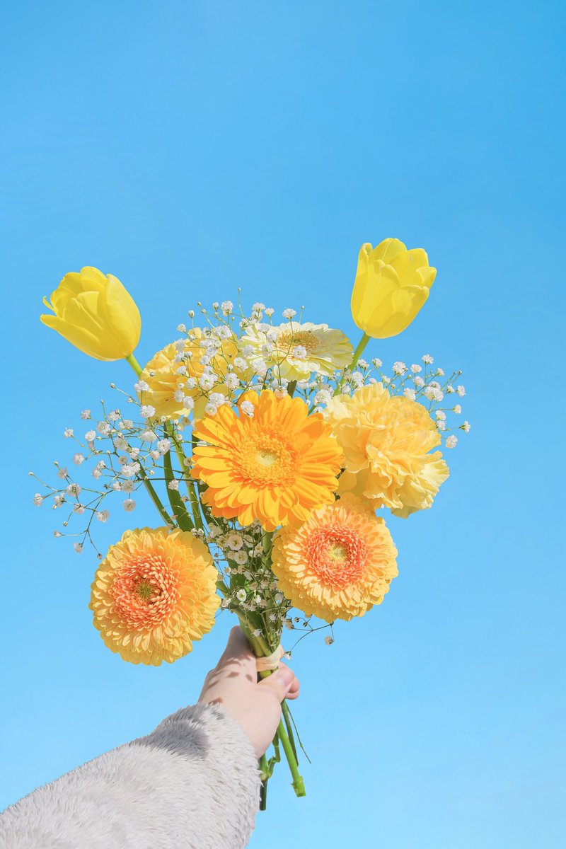 Noah_photobook's tweet photo. お花に癒されたい人に届きますように。 https://t.co/PvtP0cHQsz