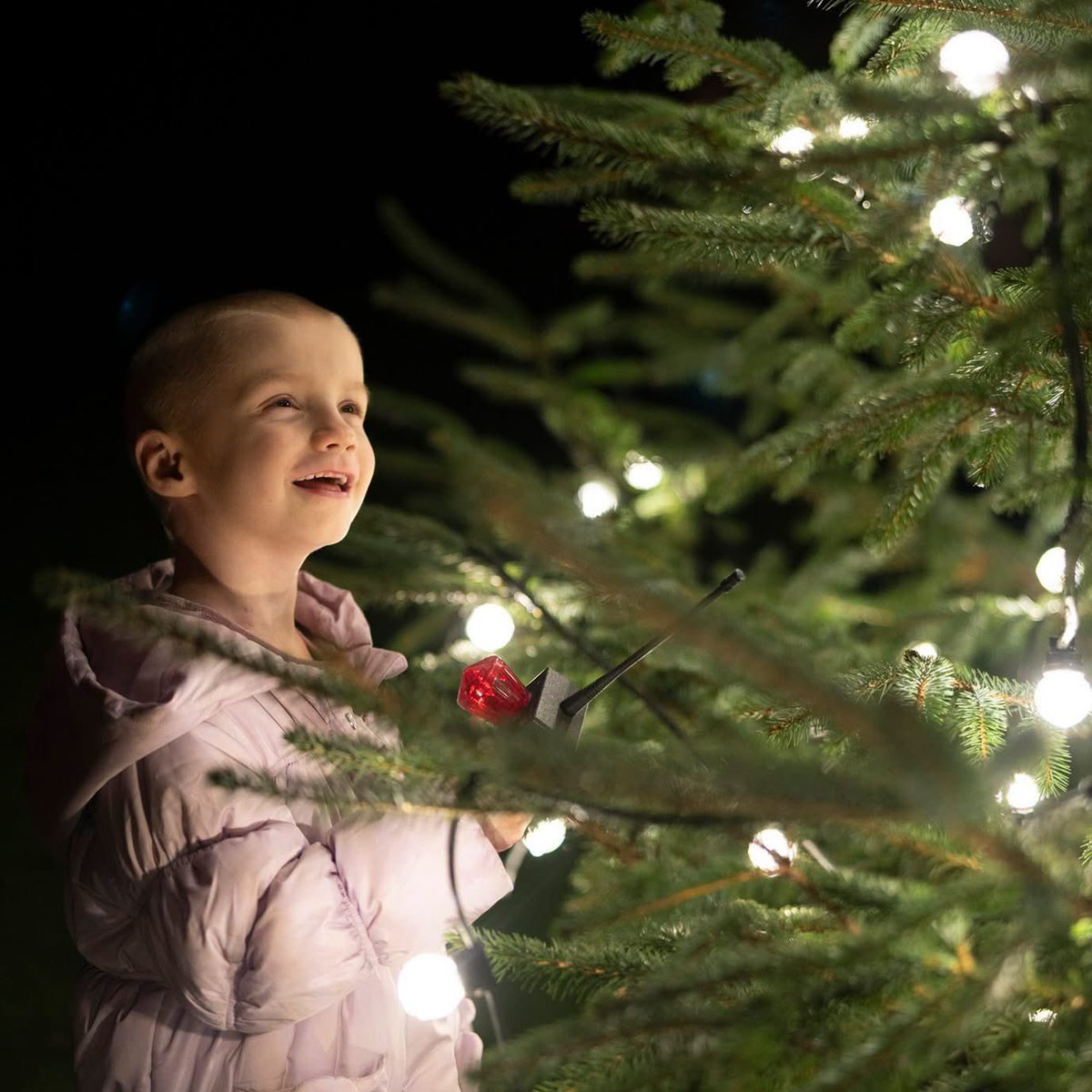darrengrimes's tweet photo. Deeply saddened to learn of the passing of Bonnie-Leigh Spence from Consett. At just five years old she’d had her arm amputated and her family told there was no viable treatment left.
She faced more horror in a handful of years than most will in a lifetime. Yet there she is, smiling and lighting up County Hall for its last ever Christmas light switch-on with Cllr Jackie Teasdale at Durham County Council.
I know next time I feel tempted to whine about some trivial inconvenience, I will think of this beautiful little girl’s determination and fight.
Real courage. Perspective. Rest in peace and rise in Glory, Bonnie. May God give her family the strength to carry on.