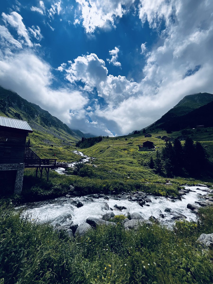 ErolPhotog15142's tweet photo. “Life on the plateau”
#plateau #elevit #rize #Türkiye #photo https://t.co/nDfFfPig4b