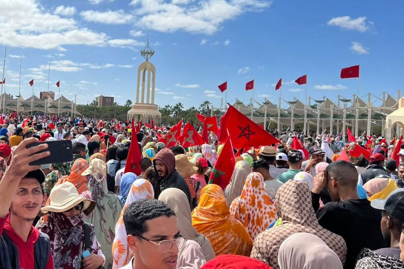 AntaeusMaurus's tweet photo. @anyaparampil Southern Morocco* and they're fine, thanks for thinking about them. https://t.co/pXF4HcqXX5