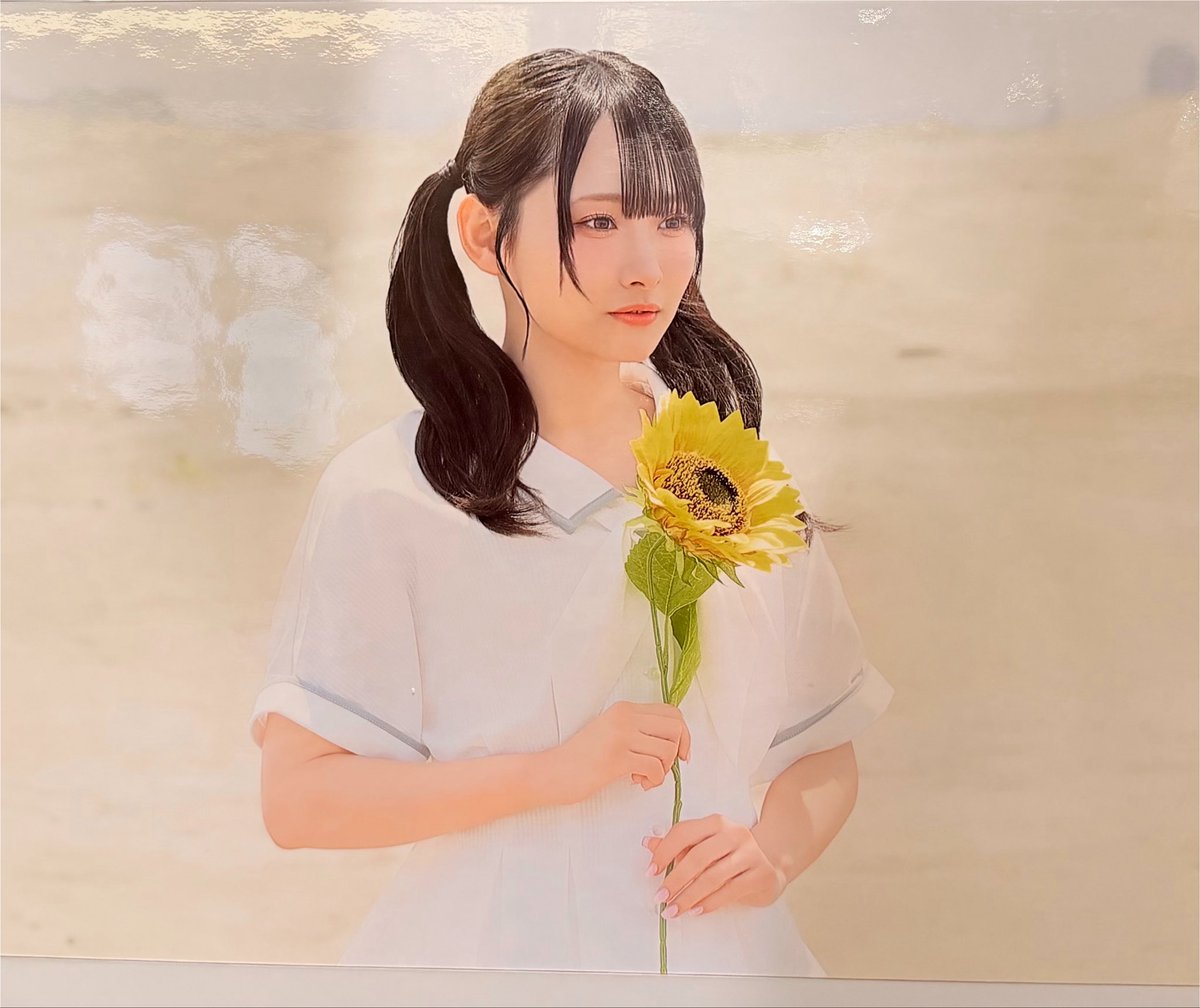 hiihanas's tweet photo. #サマーツインテール
フラゲしてきた❣️
パネル、愛月ちゃんいて嬉しい😭😭💞
ひまわりが似合うねえ〜🌻 https://t.co/uifP5FP15X
