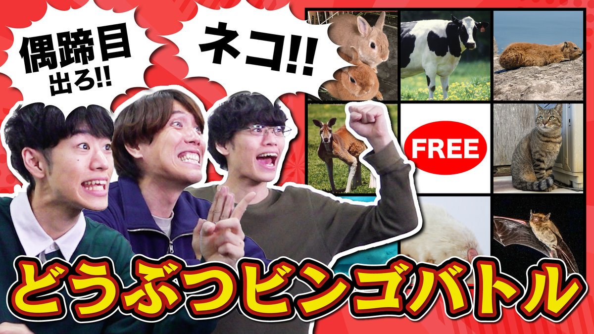 QuizKnock's tweet photo. 🐭 #QK新着動画 🦇
哺乳類ビンゴやってみたらネズミとコウモリばっかりで思ってたのと違う【猫ちゃんどこ？】

この動物、何目？
哺乳類でビンゴやってみた！

↓動画はこちら↓
https://t.co/U9ChMr1gfo https://t.co/3v7tEMzgDh