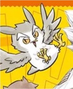 osamuriins's tweet photo. THEY FORCED HIM TO GO ON OZEMPICS WTFFFF https://t.co/tJdiOLShKV