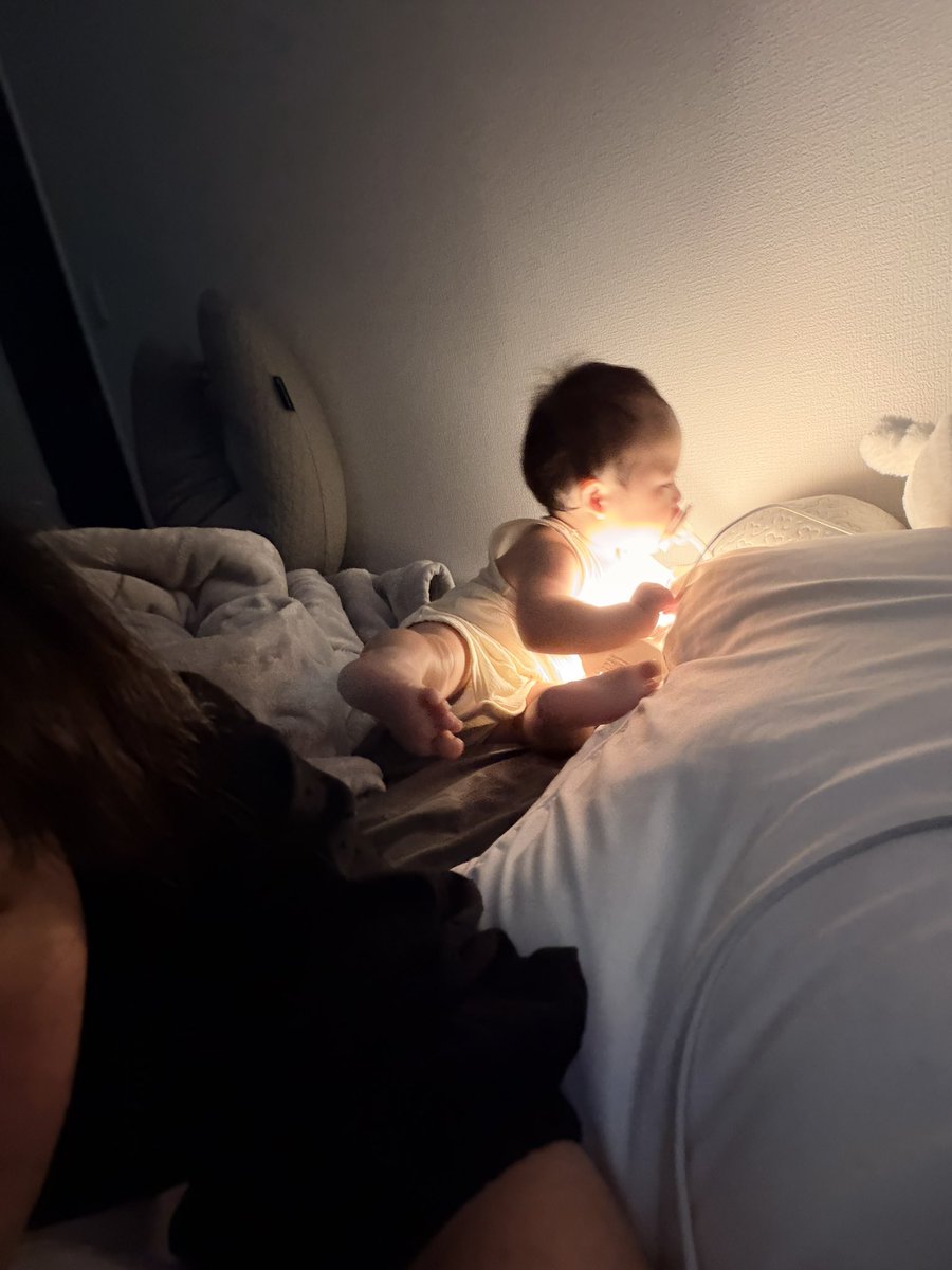 Poco_blossom's tweet photo. これは朝方4時くらいにもうちょい寝て欲しいのに 発光していたｴｹﾁｪﾝ https://t.co/TEYg1k2379