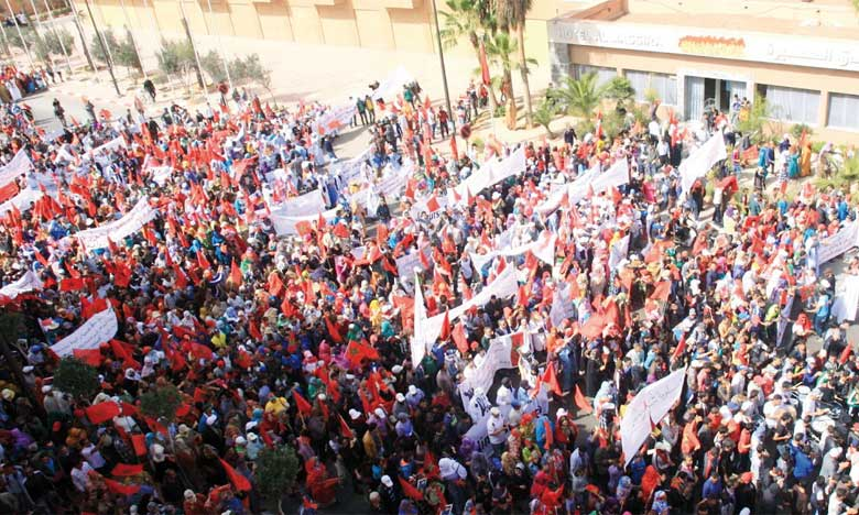 AntaeusMaurus's tweet photo. @anyaparampil Southern Morocco* and they're fine, thanks for thinking about them. https://t.co/pXF4HcqXX5
