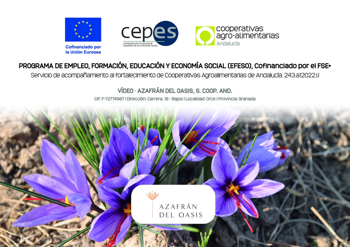CoopsAgroAND's tweet photo. 📢#coopsagroand tiene en ejecución varias actividades como parte del programa  #EFESO. 

Una de ellas es 'Acompañamiento al Fortalecimiento de Cooperativas Agroalimentarias de Andalucía. Video' que se está desarrollando en CENTROSUR S. COOP. AND. , Azafrán del Oasis S. COOP. AND y graria Nuestra Señora de la Cabeza de Zújar, S. COOP. AND

👉Cofinanciado por el Fondo Social Europeo Plus

@cepes_economiasocial 

#CEPESFSE