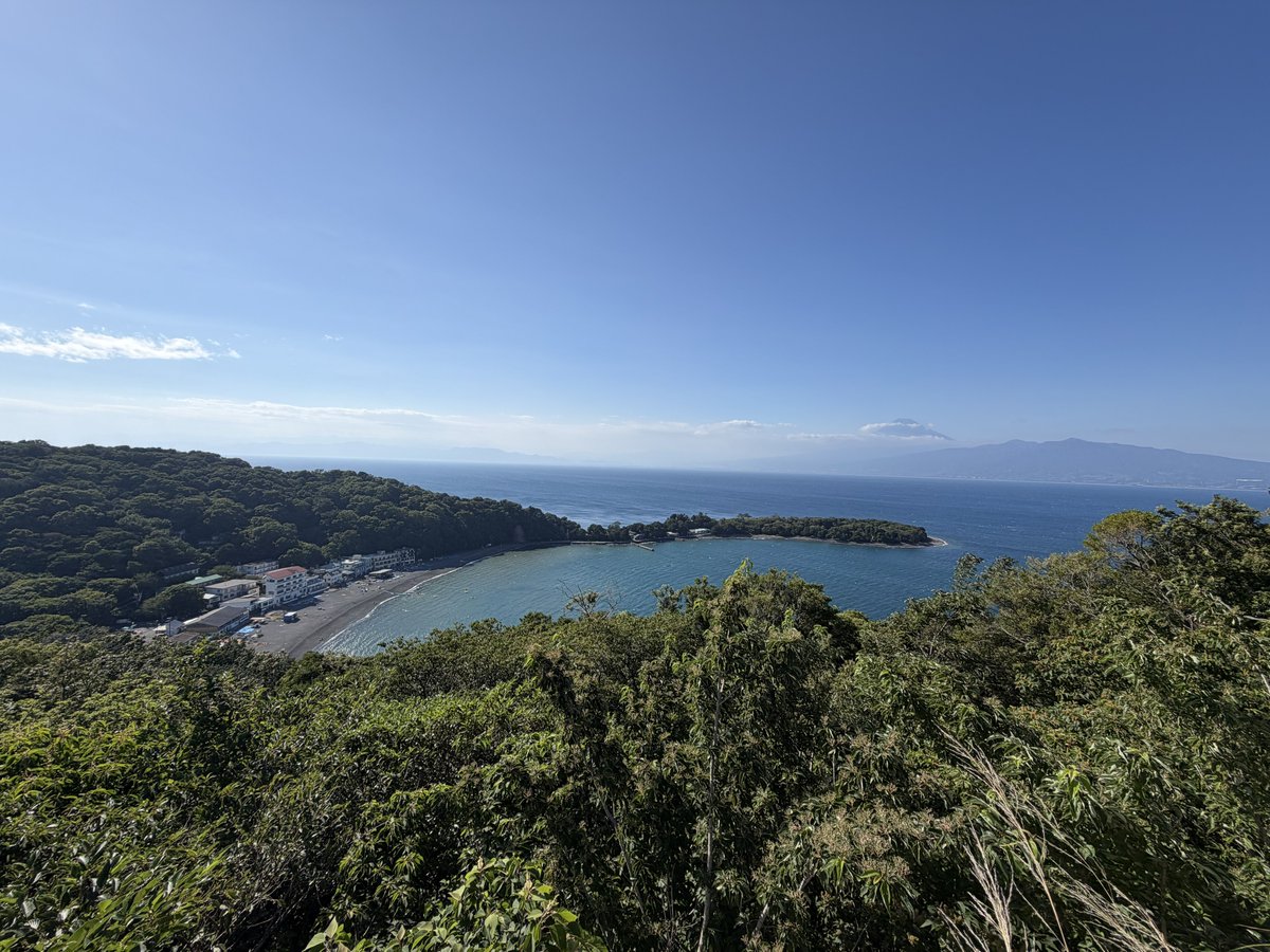 mogupy's tweet photo. 大瀬崎は強風なので今日潜るのはやめといた。歩いて岬の方をぐるっとしてきた。ミドリガメやらトンボの類、鯉、ウスバカミキリなど。 https://t.co/Re7xjBGG0M