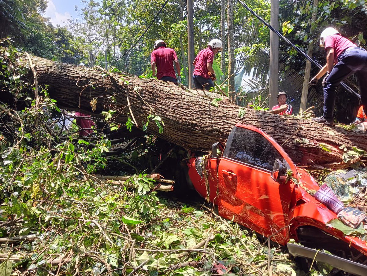 ahmadmaslan's tweet photo. Kenyataan media disedia #JKR #Malaysia ttg kemalangan pokok tumbang di #Bentong, #Pahang, di Jalan Persekutuan berhampiram Janda Baik, 3/8/26 melibatkan 5 maut dan 1 cedera parah. Takziah & Al-Fatihah. Moga roh mereka dicucuri rahmat Allah. Moga Allah anugerah Syurga utk mereka. https://t.co/FPHul04lSS