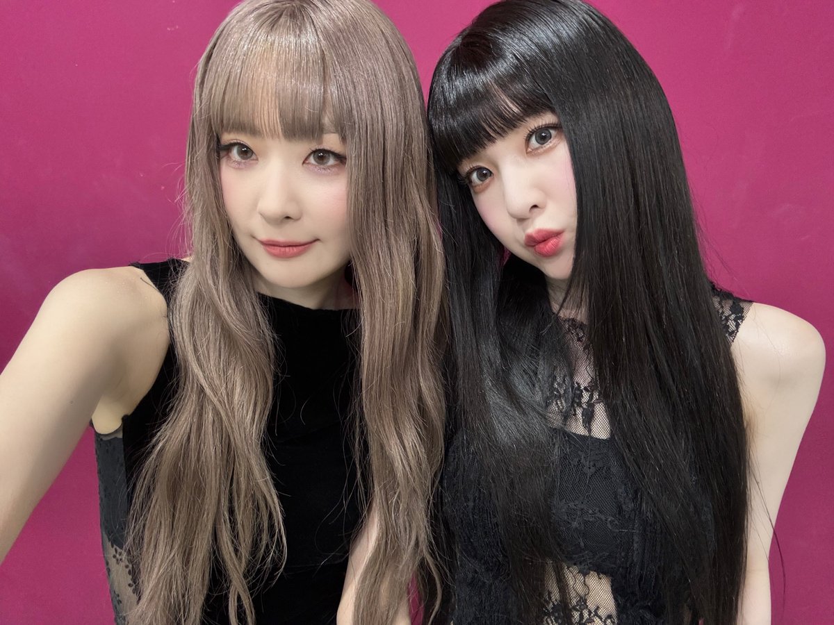 SG210S2's tweet photo. 곰의 토끼 컬렉션 https://t.co/HSbam9kURh