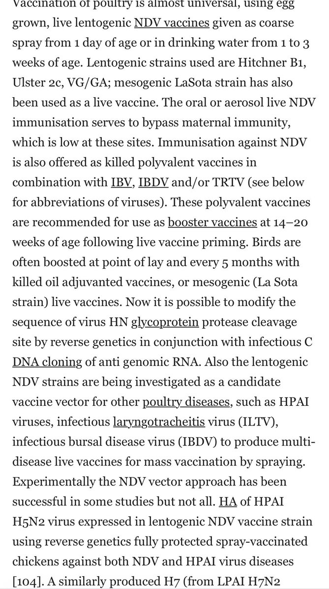 psychealchemy's tweet photo. Some of the history of the evolution of #avianvirus & as I said they are already vaccinating some birds & poultry with “experimental vaccines”. #virushoax #birdflu #birdsrights
https://t.co/mFzEs5YE4C https://t.co/WNw0xa1ixD