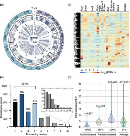 Hortres's tweet photo. A Zhongshuang 11 rapeseed CRISPR mutant library provides a ready resource for functional genomics and precision breeding #RapeseedCRISPR #FunctionalGenomics #OilseedBreeding @OxfordJournals
Details: https://t.co/49E0L1Y6bF https://t.co/G4Jpw7Laka
