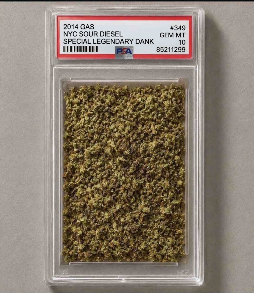 6illigan's tweet photo. GAS PSA 10 (2014 SOUR D) https://t.co/NnQPsX8QVO
