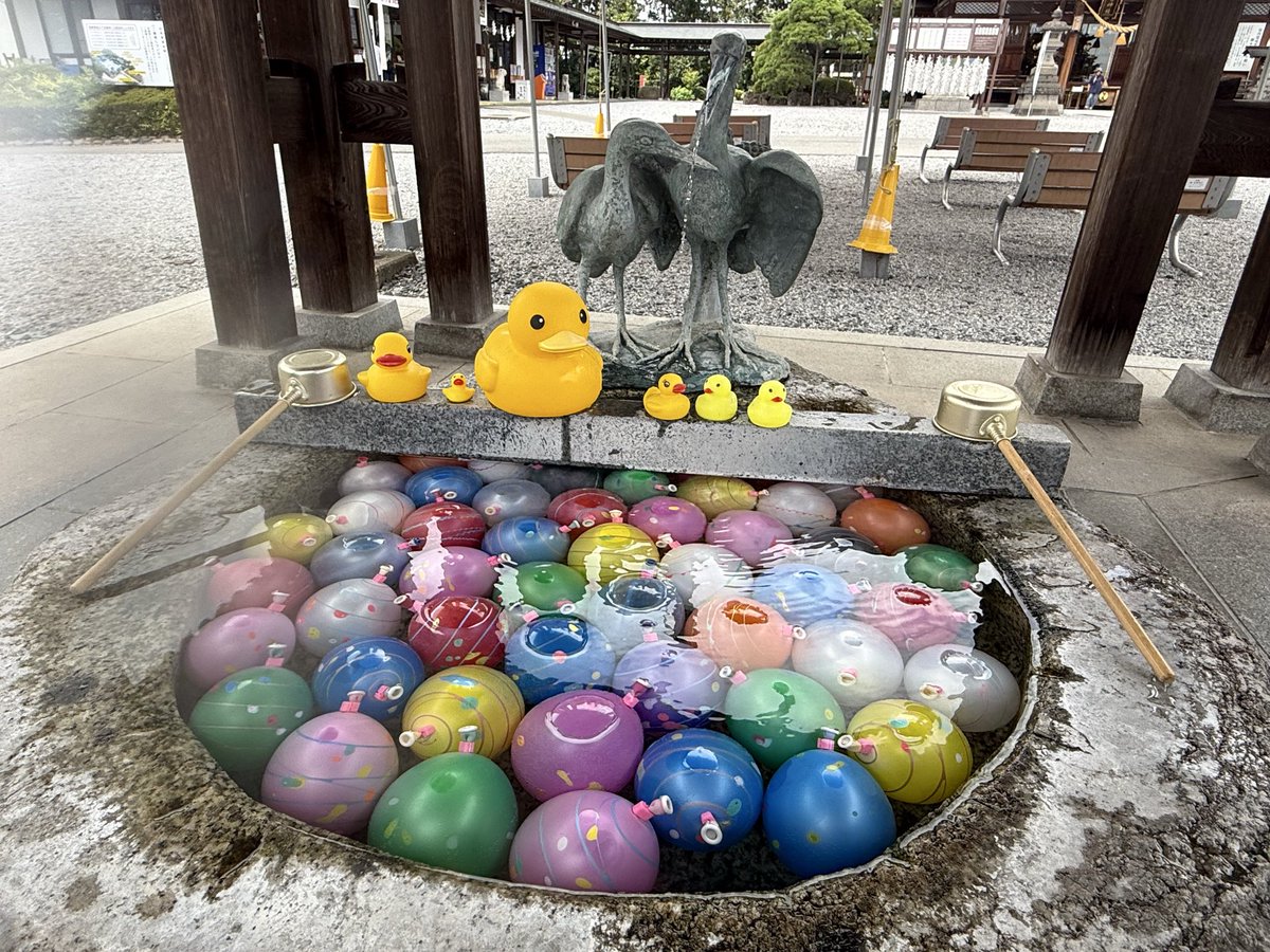 iris001971's tweet photo. お仕事で宇都宮まで。
時間にも余裕が出来たので、普段行けない神社へお参りに⛩️
#白鷺神社 https://t.co/9zDfVdUnks