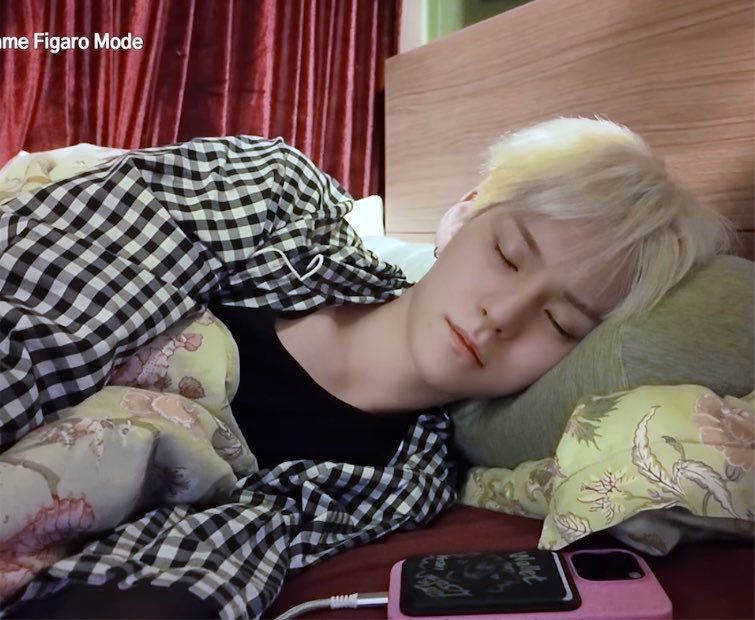 jellybbangi's tweet photo. 끼잉💕💕💕😭😭😭💕💕💕💕🥹🥹 https://t.co/bhbqTCfXUW