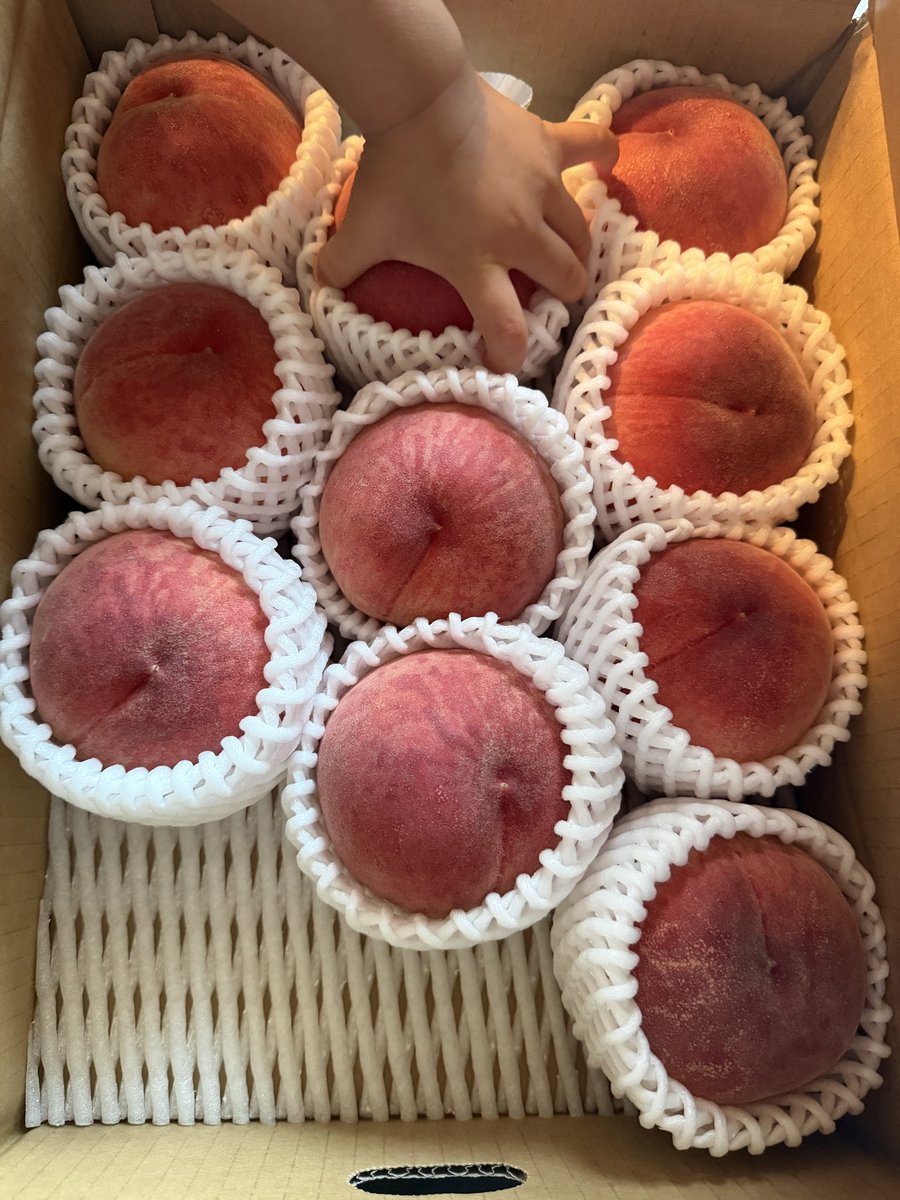 welcomeakechan's tweet photo. 夏のフルーツ🍉🍈🍑
息子の頭より大きな11kgの尾花沢スイカ🙌🏻 https://t.co/IYAFuOcPck