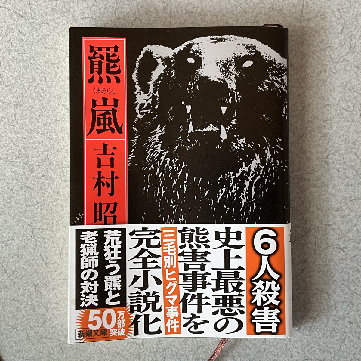 dondoko_310's tweet photo. 読了しました！ https://t.co/ypPo7X0PbI