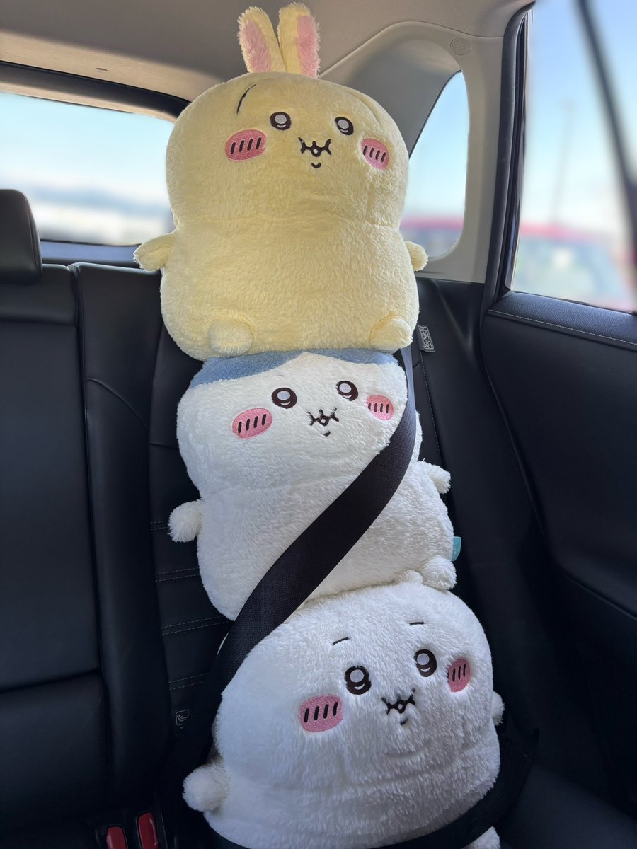 chiiiii555y's tweet photo. https://t.co/YAfwXN8EsY