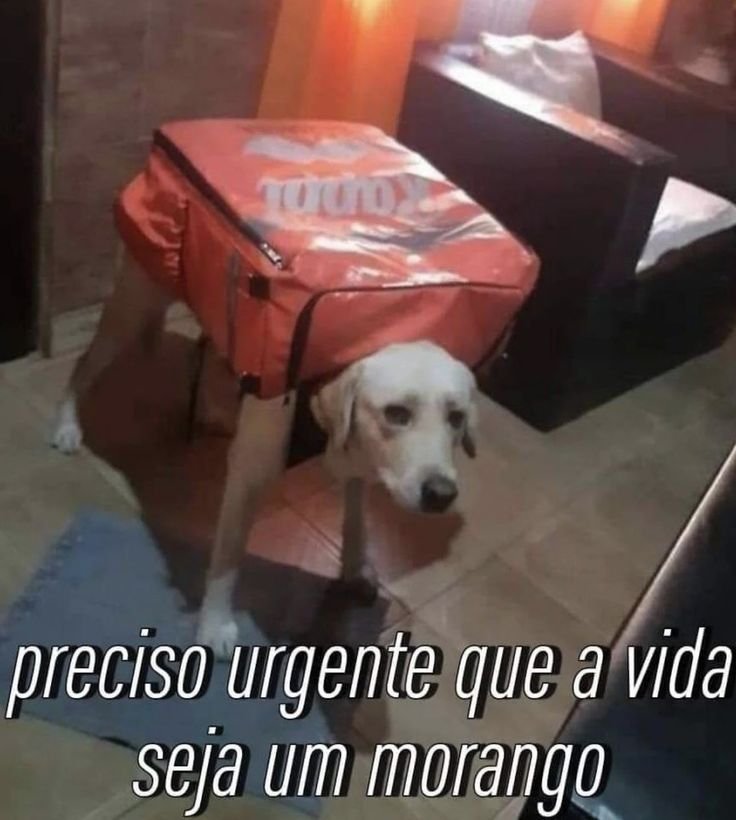 Nano_Samm's tweet photo. BOM DIAAA!!! VCS ESTÃO BEM??? https://t.co/De4hG4Y36X