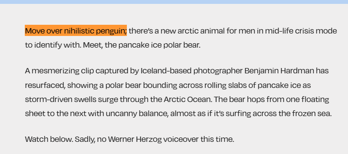 kerosene2345241's tweet photo. This might actually be the next Penguin - literally so viral and got compared to penguin

In the article it says "Move over nihilistic penguin; there’s a new arctic animal for men in mid-life crisis mode to identify with"

Literal direct comparison to the Penguin

Went on Instagram to find the clip and it has over 110m views??? and 3.7 million likes

This might be generational

They call it the "Surfer" because it is surfing between the ice and avoiding the bad things in life

Article - https://t.co/QARXgMXL9N