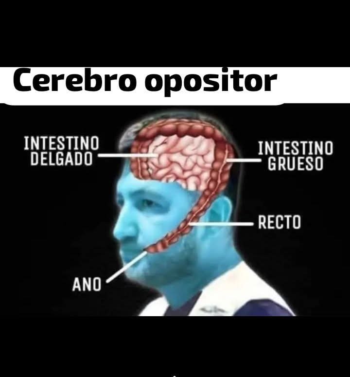 Angelmb1965's tweet photo. @U235_RADIACTIVO @jaarreaza Los MISERABLES MALVIVIENTES de la #OposicionMiserableArrastradaApatridaYFascista tienen 27 años generando muertes y destrucción con paros guarimbas sanciones bloqueos sabotajes e invasion.
INMORALES MALNACIDOS
#ConChávezNosotrosVenceremos https://t.co/TnnKV5uGuS