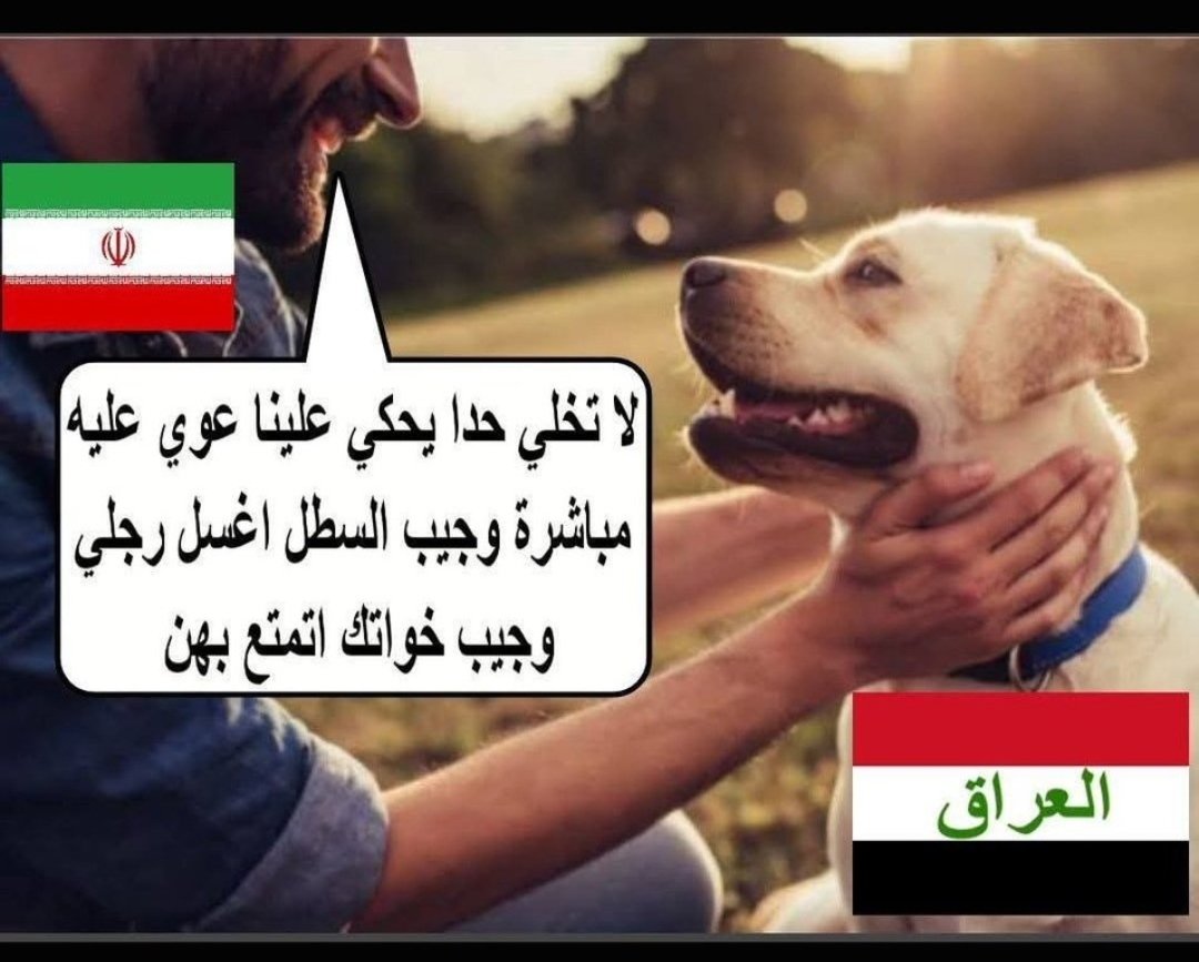 llh99301_bd's tweet photo. @Bent_Falahiye هم كلاب بس للنبح https://t.co/K6A0YCSDI6